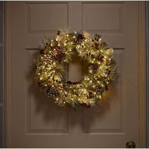 Philips 30-Count Battery-Operated Dewdrop Lights on Silver Wire with Built in Timer - Bellso